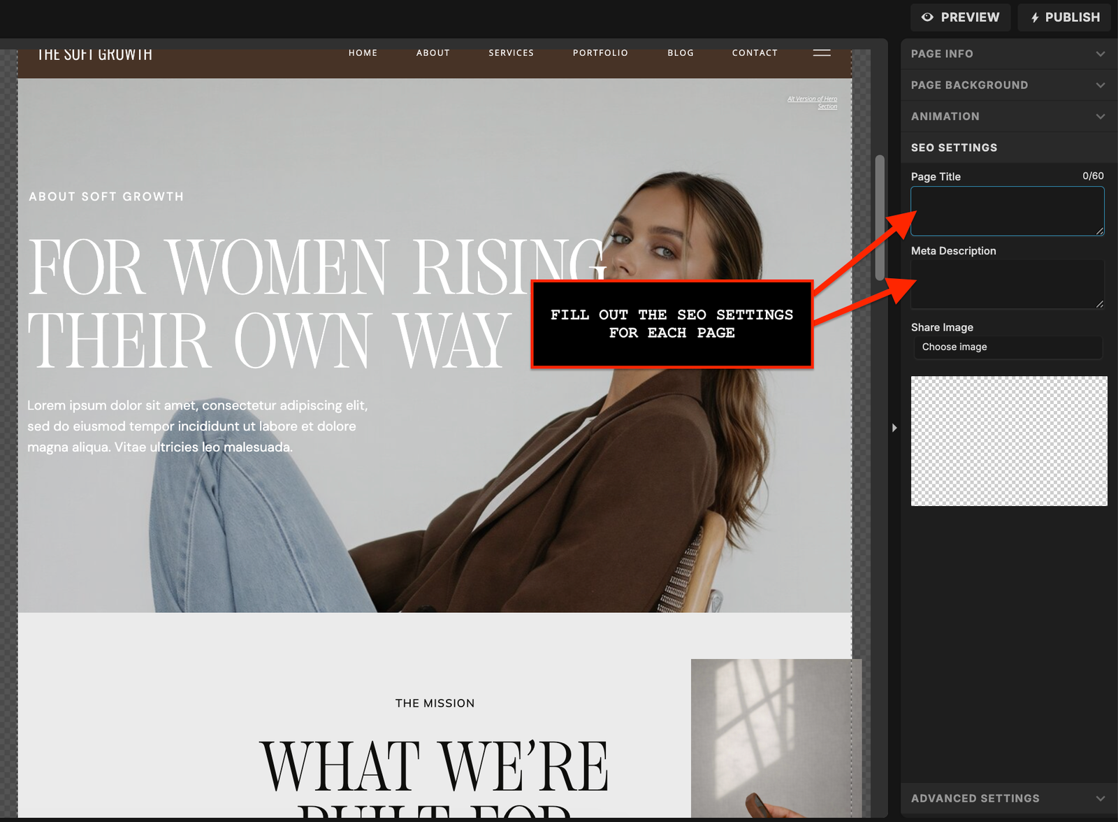 Google Search Console performance screenshot for a Showit website